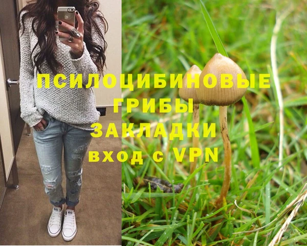 стафф Балабаново