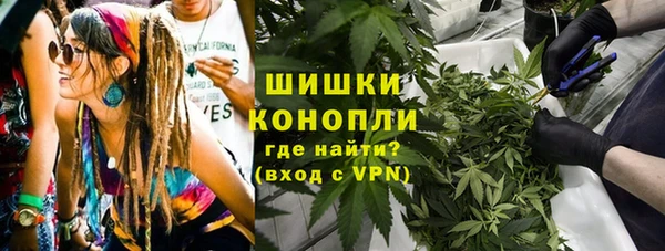 хмурый Арсеньев
