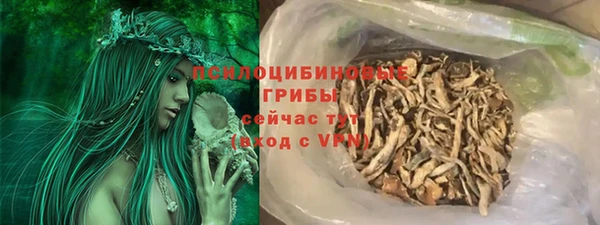ГАЛЛЮЦИНОГЕННЫЕ ГРИБЫ Балахна