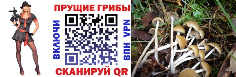 Галлюциногенные грибы мухоморы Нягань