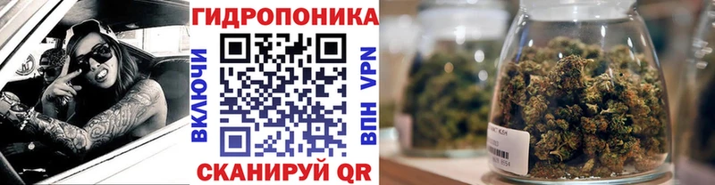 Бошки Шишки сатива  где купить наркоту  Нягань 